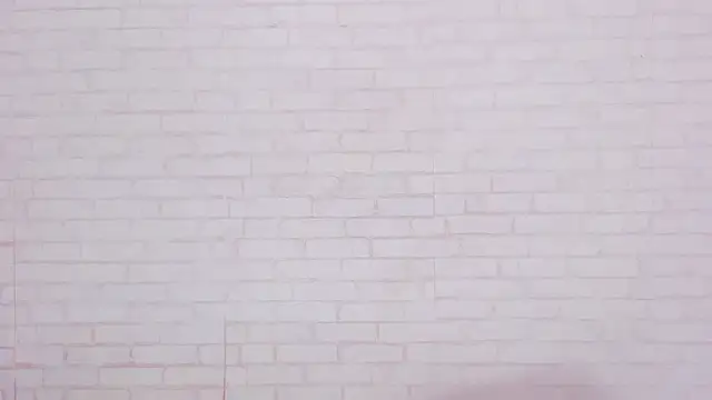 Tiffany mendez online show from February 2025 03:14:02 PM