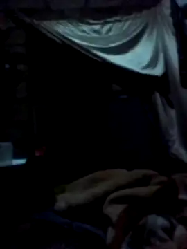 January256 online show from March 2026 10:38:01 PM