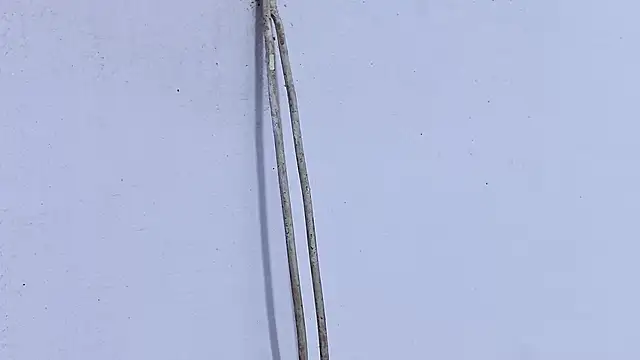 Habibi big b online show from April 2026 05:23:01 PM