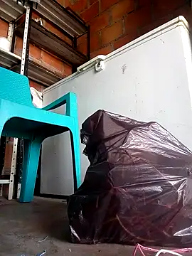 edijavimes online show from February 2026 04:41:01 PM