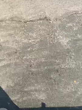 Snapshot of Gururonny07 chatting on December 2024 08:20:01 AM Gururonny07 online show from December 2024 08:20:01 AM