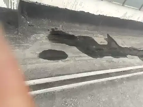 Snapshot of Gururonny07 chatting on January 2025 05:29:02 AM Gururonny07 online show from January 2025 05:29:02 AM