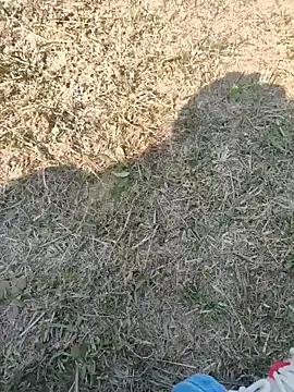 Snapshot of Gururonny07 chatting on January 2025 07:45:02 AM Gururonny07 online show from January 2025 07:45:02 AM