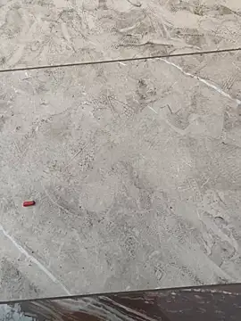 Snapshot of Gururonny07 chatting on February 2025 11:49:01 AM Gururonny07 online show from February 2025 11:49:01 AM