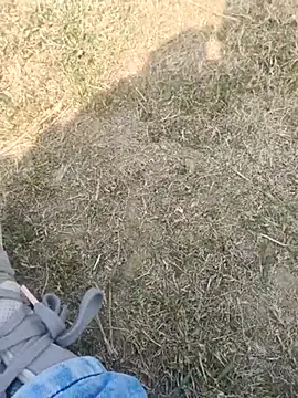 Snapshot of Gururonny07 chatting on February 2025 07:28:02 AM Gururonny07 online show from February 2025 07:28:02 AM