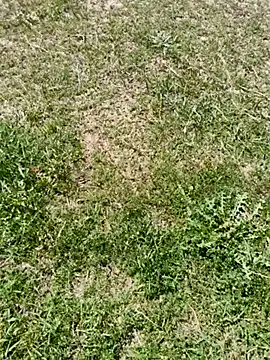 Snapshot of Gururonny07 chatting on March 2025 07:57:02 AM Gururonny07 online show from March 2025 07:57:02 AM