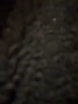 cicciolina online show from January 2025 09:16:01 PM