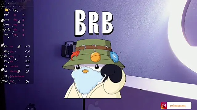  sulmatevans  online show from January 2025 11:48:02 AM