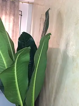 EmmaRossem online show from March 2026 07:36:02 PM