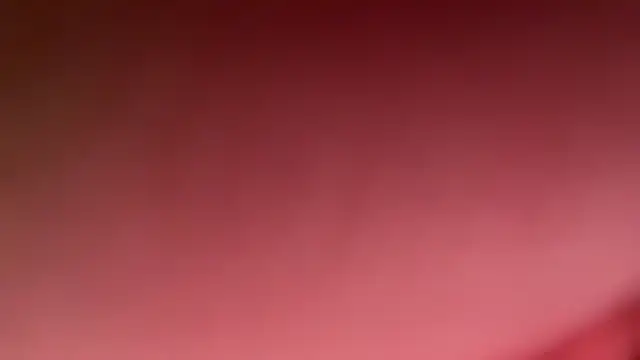 shandiloveslemonss online show from October 2025 03:43:01 PM