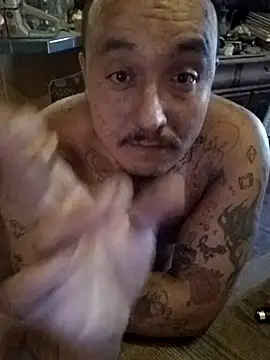 wilsons12 online show from October 2025 02:09:01 PM