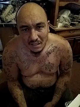 wilsons12 online show from November 2025 07:25:01 PM