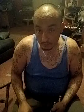 wilsons12 online show from February 2026 07:26:01 AM