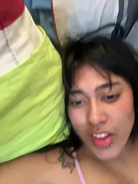 pawmistry online show from January 2026 07:50:02 PM