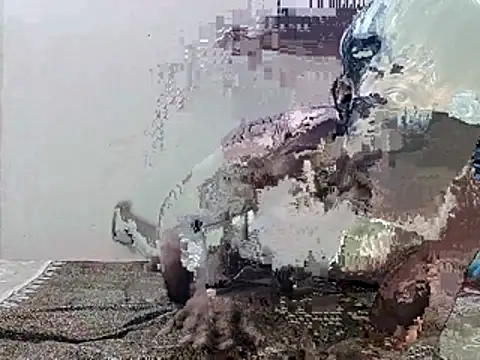 HunkyAriyan online show from November 2025 01:44:01 PM