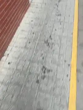 jovenestraviesos online show from February 2026 04:27:02 PM