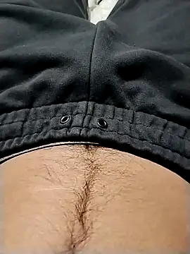 minitranca online show from February 2026 08:26:01 PM