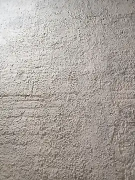 strip 1212 online show from January 2026 11:19:01 PM