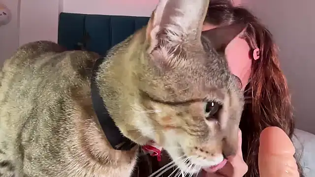 alice guerin  online show from February 2026 06:26:01 AM