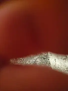 Warumnicht1980 online show from November 2025 07:35:01 PM