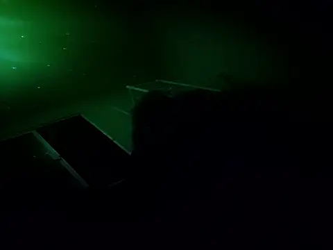 6MataGarcia online show from November 2025 11:10:01 AM