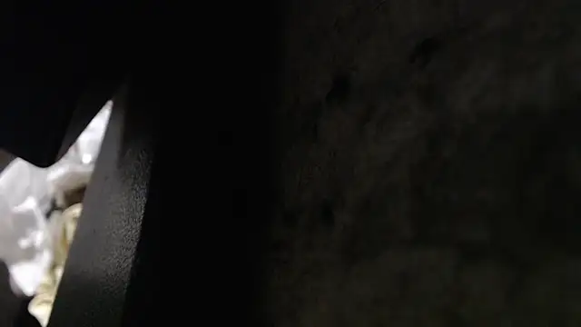 Hungry  Puppy online show from November 2025 10:19:01 PM