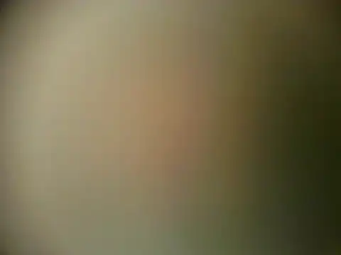 TheSweetBerry online show from March 2026 12:16:01 PM