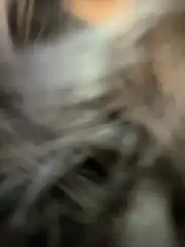 Chloe  Moon online show from January 2025 11:27:02 AM