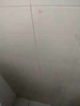 Snapshot of rohitlov150 chatting on September 2025 02:52:01 PM rohitlov150 online show from September 2025 02:52:01 PM