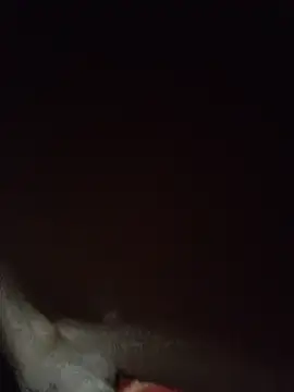 cjonybab online show from October 2025 12:23:01 AM