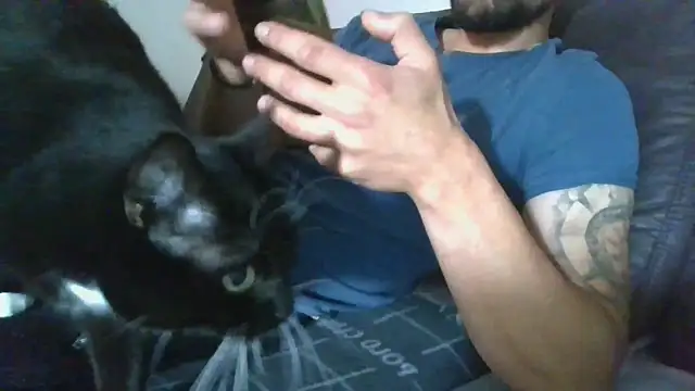 Kevoon991 online show from November 2025 08:47:01 AM