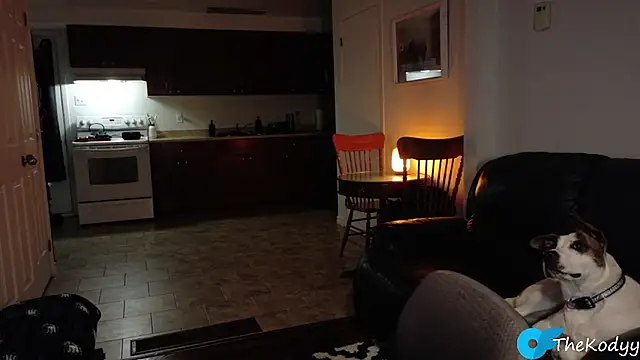 Snapshot of Thekodyy chatting on January 2026 06:27:01 AM Thekodyy online show from January 2026 06:27:01 AM