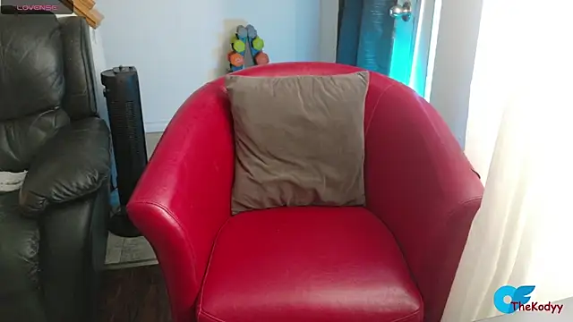 Snapshot of Thekodyy chatting on February 2026 04:24:02 PM Thekodyy online show from February 2026 04:24:02 PM