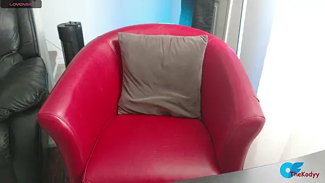 Snapshot of Thekodyy chatting on February 2026 03:48:02 PM Thekodyy online show from February 2026 03:48:02 PM