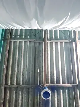 Snapshot of hotbaby_5 chatting on October 2025 02:53:01 PM hotbaby 5 online show from October 2025 02:53:01 PM