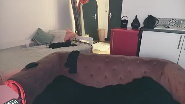 ce leste   online show from January 2026 06:59:02 AM