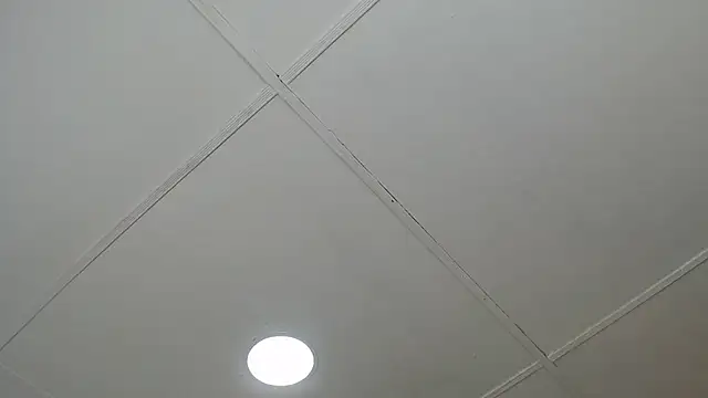 dannaberlin 0 online show from March 2025 12:20:01 PM