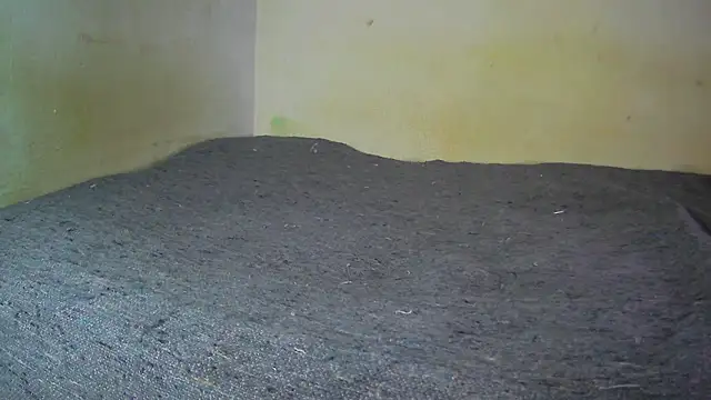 fern tlk online show from December 2024 08:21:02 PM