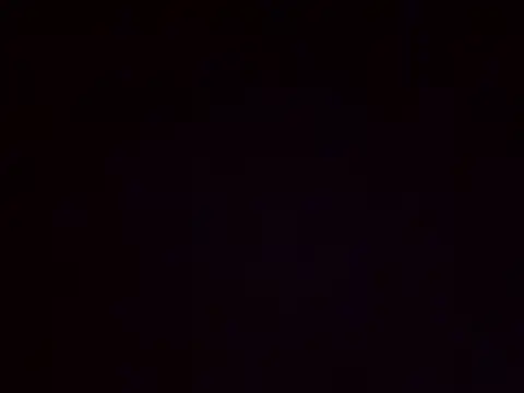 lisa larry88 online show from December 2024 03:29:02 AM