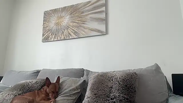 Serena 4you online show from March 2026 11:47:02 AM