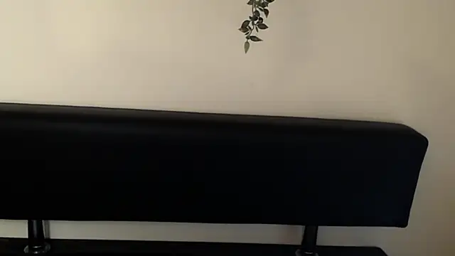 LaimaV  online show from April 2026 04:55:02 PM