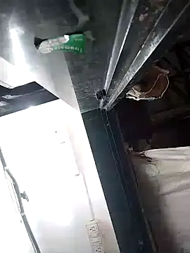 heartless  95 online show from February 2025 05:18:02 AM