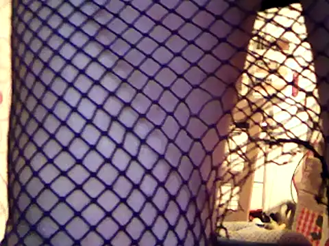 cyril020202 online show from December 2024 06:17:01 PM