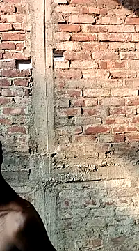 NICK IN online show from March 2025 10:14:02 AM