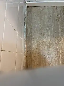 reelciii21 online show from March 2025 12:58:02 AM