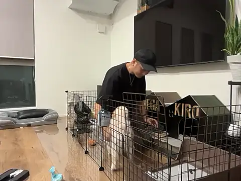 kensnb online show from October 2025 09:29:02 AM