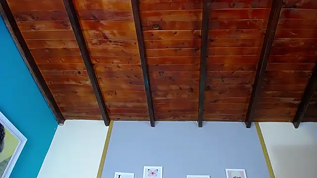 dante ferraraa online show from March 2025 11:04:02 PM