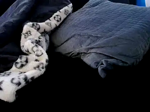 Snapshot of Niquitasparkles chatting on December 2024 12:35:02 AM Niquitasparkles online show from December 2024 12:35:02 AM