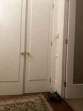 francaFerrariRoma online show from December 2024 03:26:02 AM