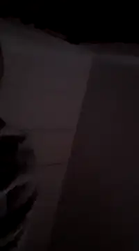 MIGHTY MAGNUM online show from December 2024 08:33:02 AM